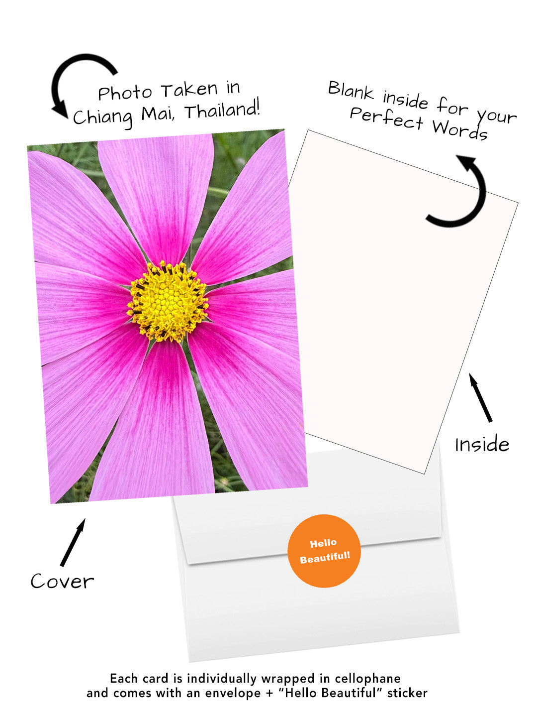Elegant Blossoms of the World | 24 Floral Greeting Cards from Around the World | Free Shipping