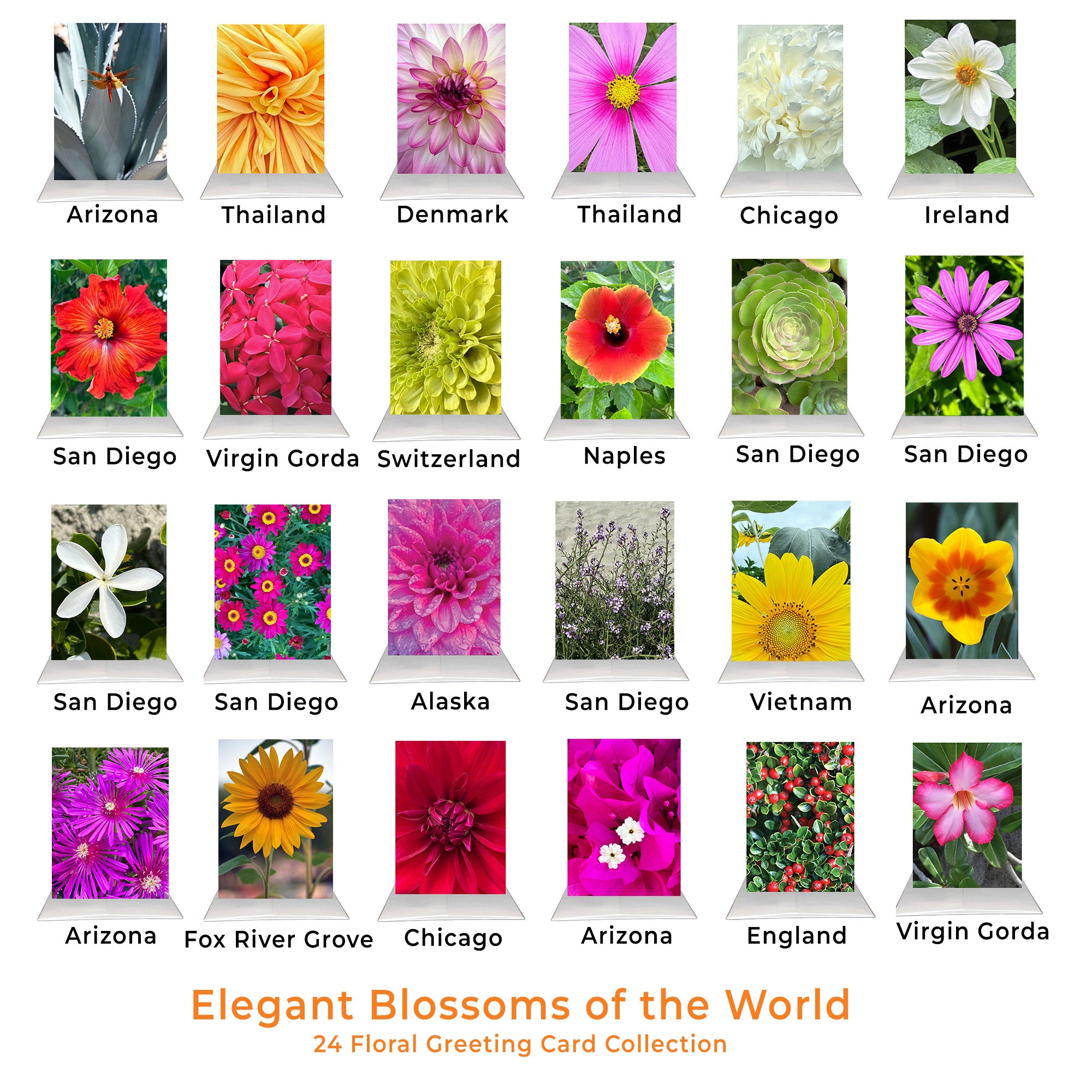 Elegant Blossoms of the World | 24 Floral Greeting Cards from Around the World | Free Shipping