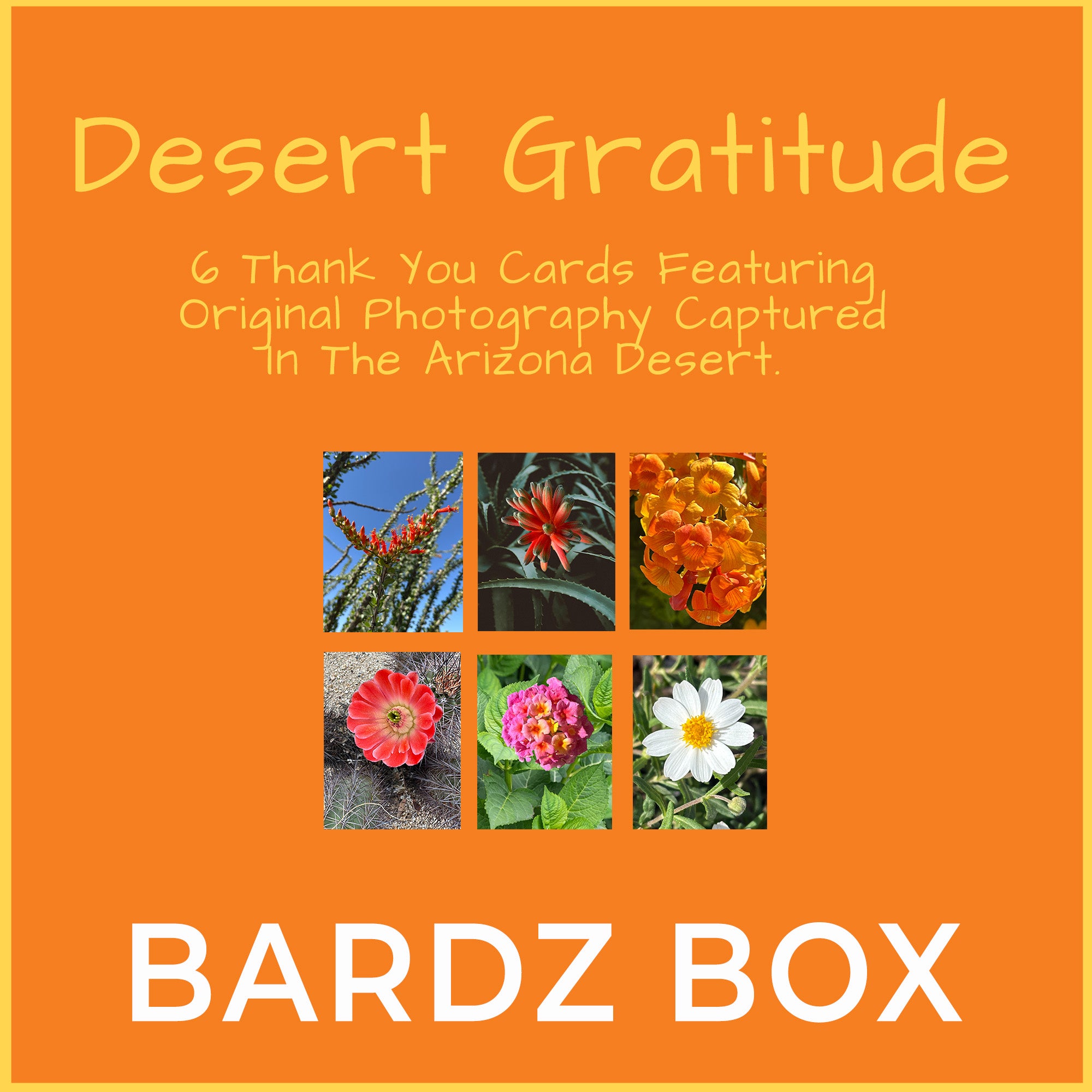Desert Gratitude thank you card box featuring six Arizona desert flower photography greeting cards with bardz box branding
Ocotillo bloom thank you card featuring Arizona desert photography
Desert flower thank you card featuring original Scottsdale Arizona photography
Golden desert blossom thank you card with orange Arizona flowers
Desert cactus bloom thank you card featuring red flower photographed in Arizona
Pink lantana thank you card featuring Arizona garden photography
White desert daisy thank you
