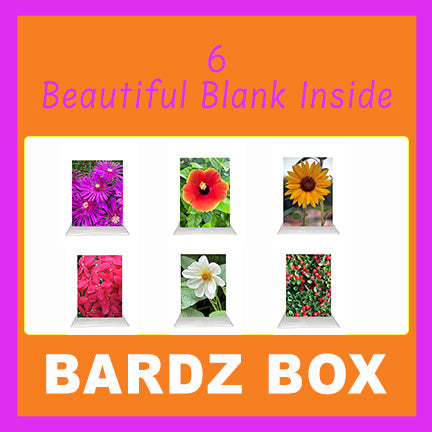 Bardz "24 Pack" Box - Get 24 assorted cards - 28% per card discount applied to price