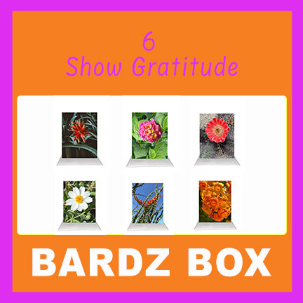 Bardz "24 Pack" Box - Get 24 assorted cards - 28% per card discount applied to price