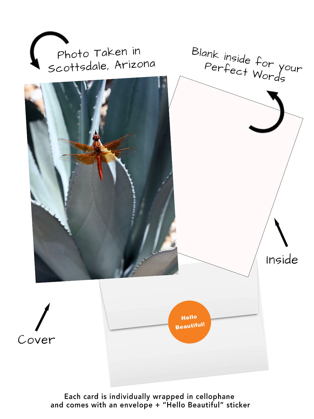 Dragonfly greeting card featuring original photography captured in Scottsdale Arizona. Visual of cover, inside, envelope and hello beautiful sticker
