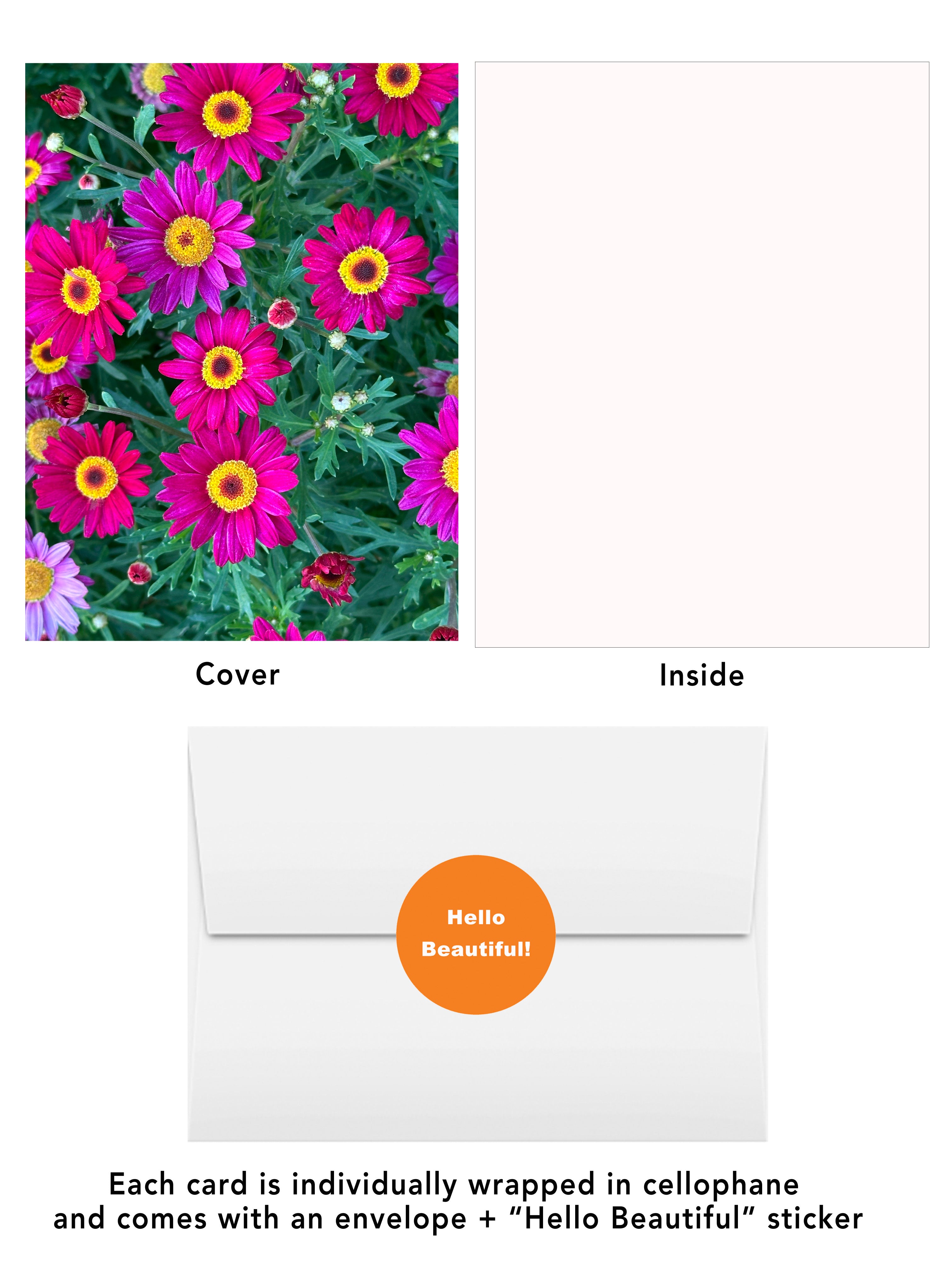 The San Diego Blooms Box – Set of 6 Floral Greeting Cards. -- 15% discount applied to price