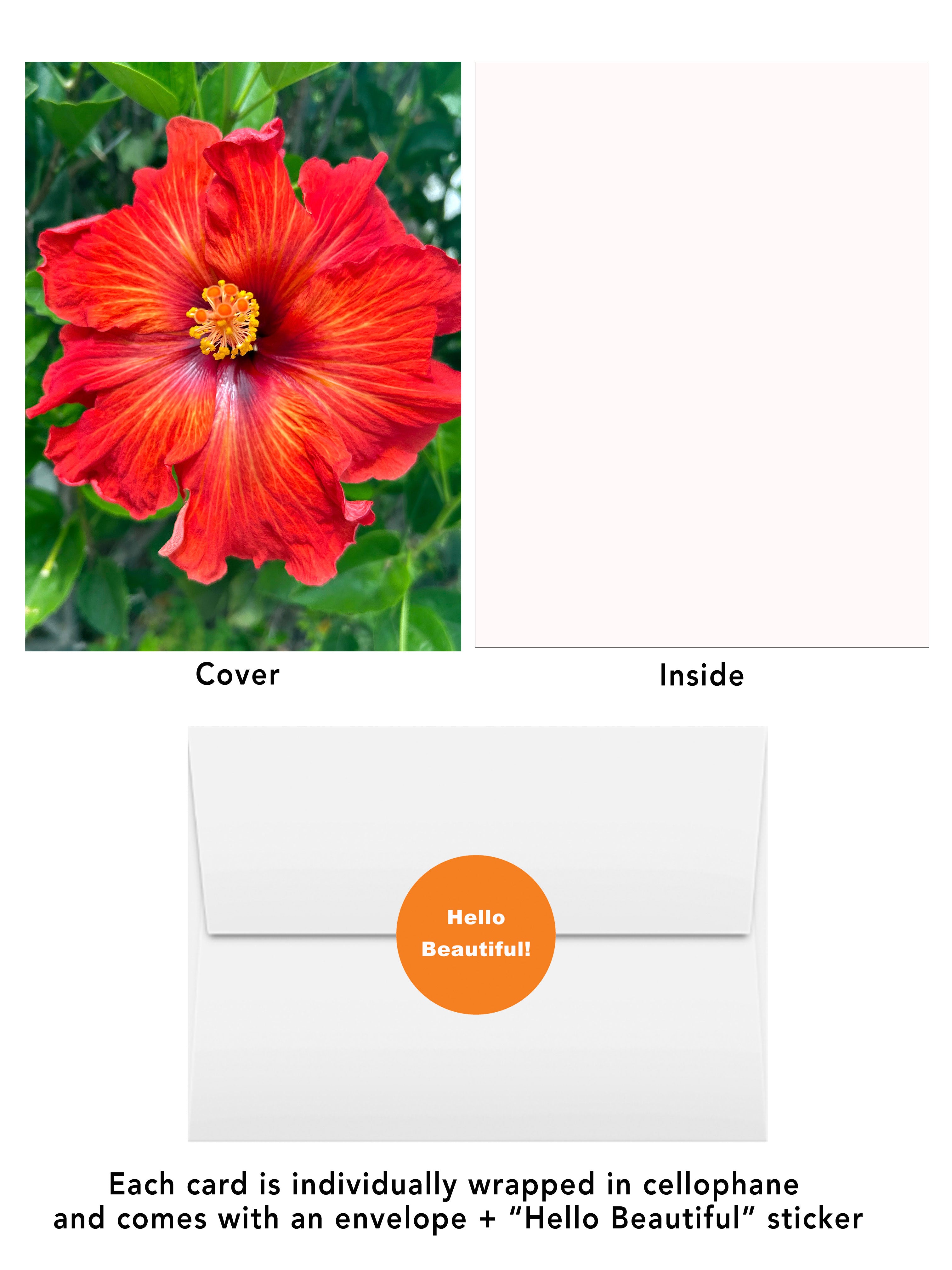Red hibiscus flower greeting card from the San Diego Blooms #3 collection by BARDZ. Visual of cover, inside, envelope and hello beautiful envelope sticker