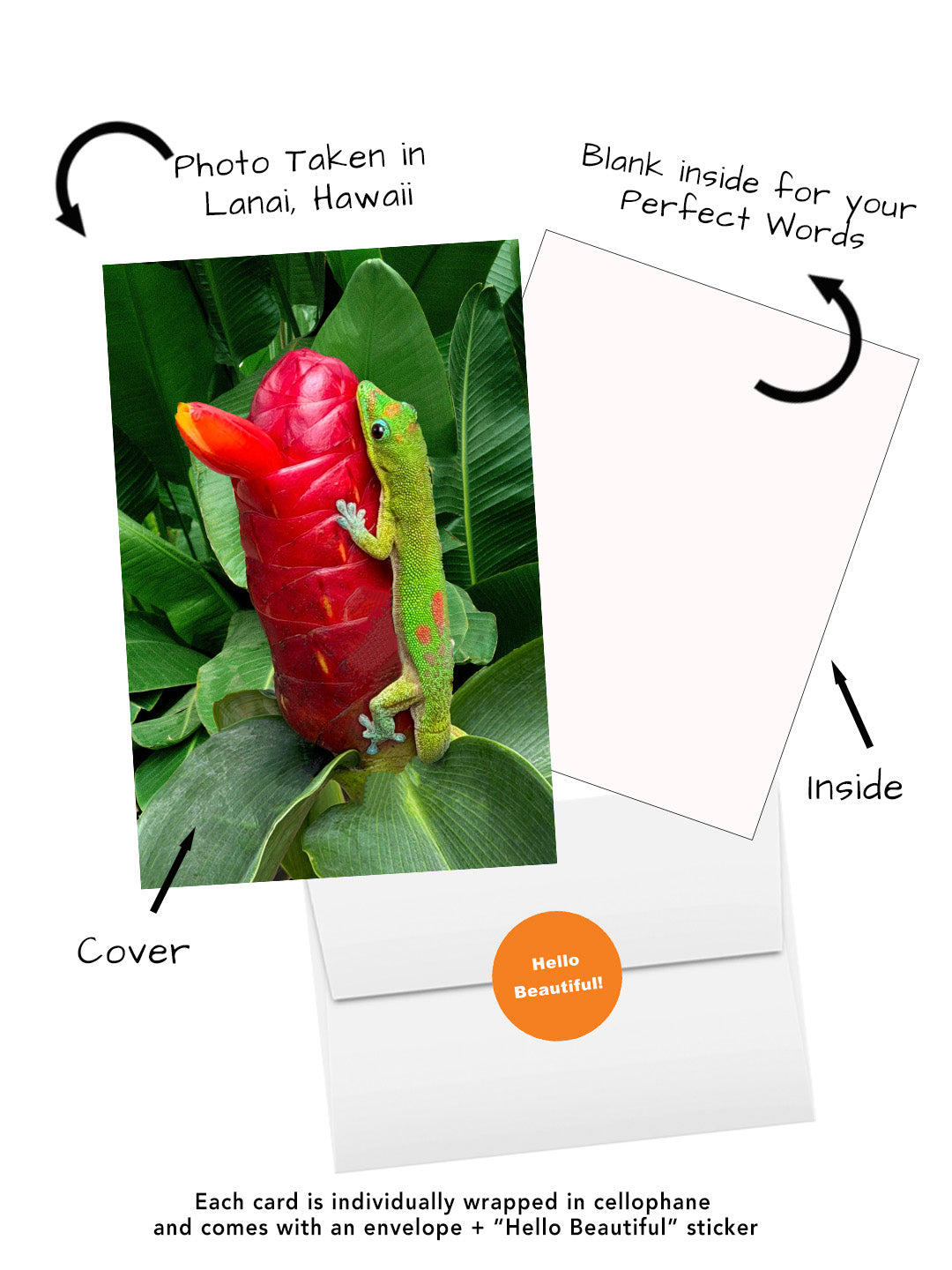 A product diagram showing a greeting card set with a cover photo of a green gecko on a red flower, an inside writing panel, and a white envelope with an orange 'Hello Beautiful!' sticker. Curved text labels explain the photo location, blank inside, and envelope.