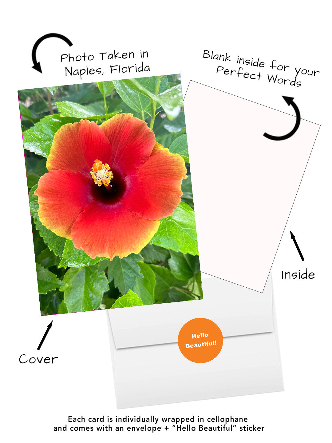 Tropical hibiscus greeting card featuring original flower photography captured in Naples Florida. Visual of Cover, inside, envelope and hello beautiful sticker
