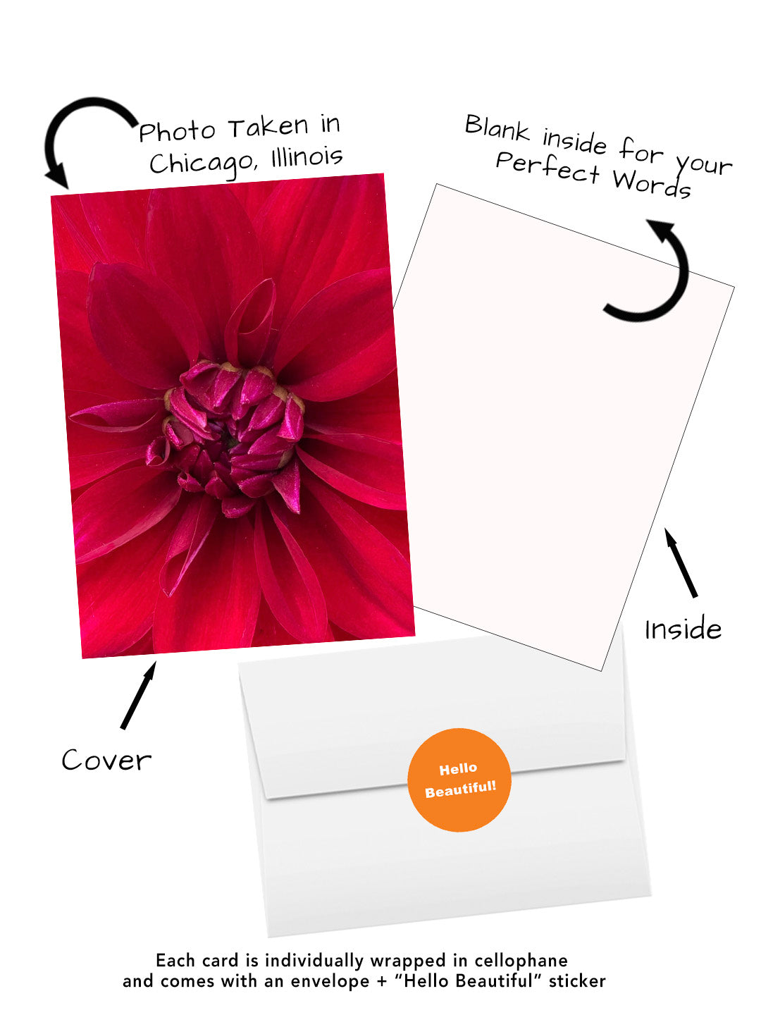 Red Dahlia Greeting Card | Blank Inside Floral Card | Chicago Flower Photography