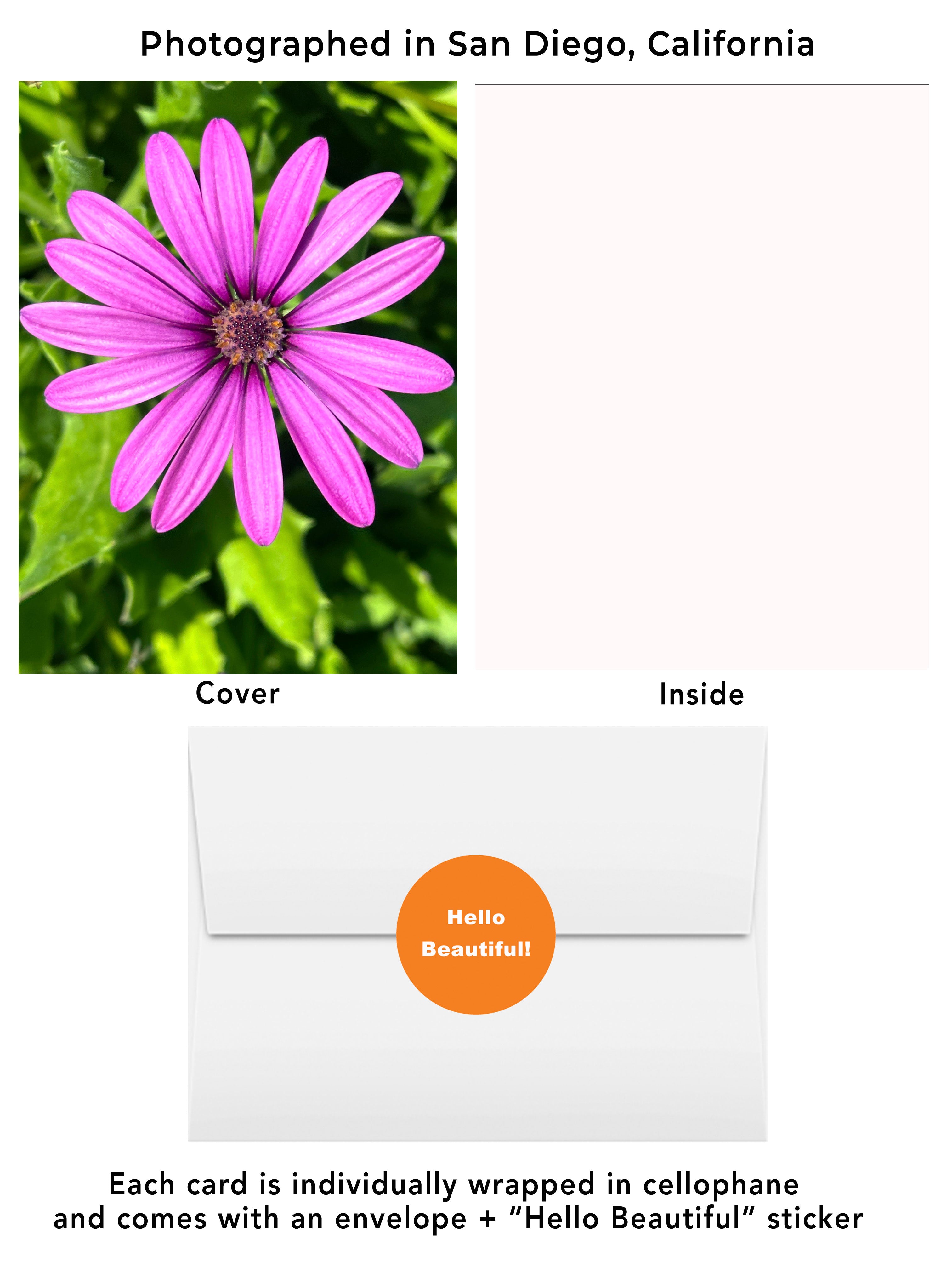 Purple African Daisy greeting card featuring original flower photography captured in San Diego California. Visual of cover, inside, envelope and hello beautiful sticker. Purple daisy greeting card
African daisy flower photography
San Diego flower card
Blank inside floral card
Flower lover gift
California flower photography
Botanical stationery
