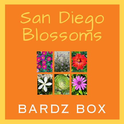 Set of six floral greeting cards from The San Diego Blooms Box by BARDZ, featuring California-inspired flower photography on premium cardstock. Visual of covers of each of 6 cards on an announcement product cover photo