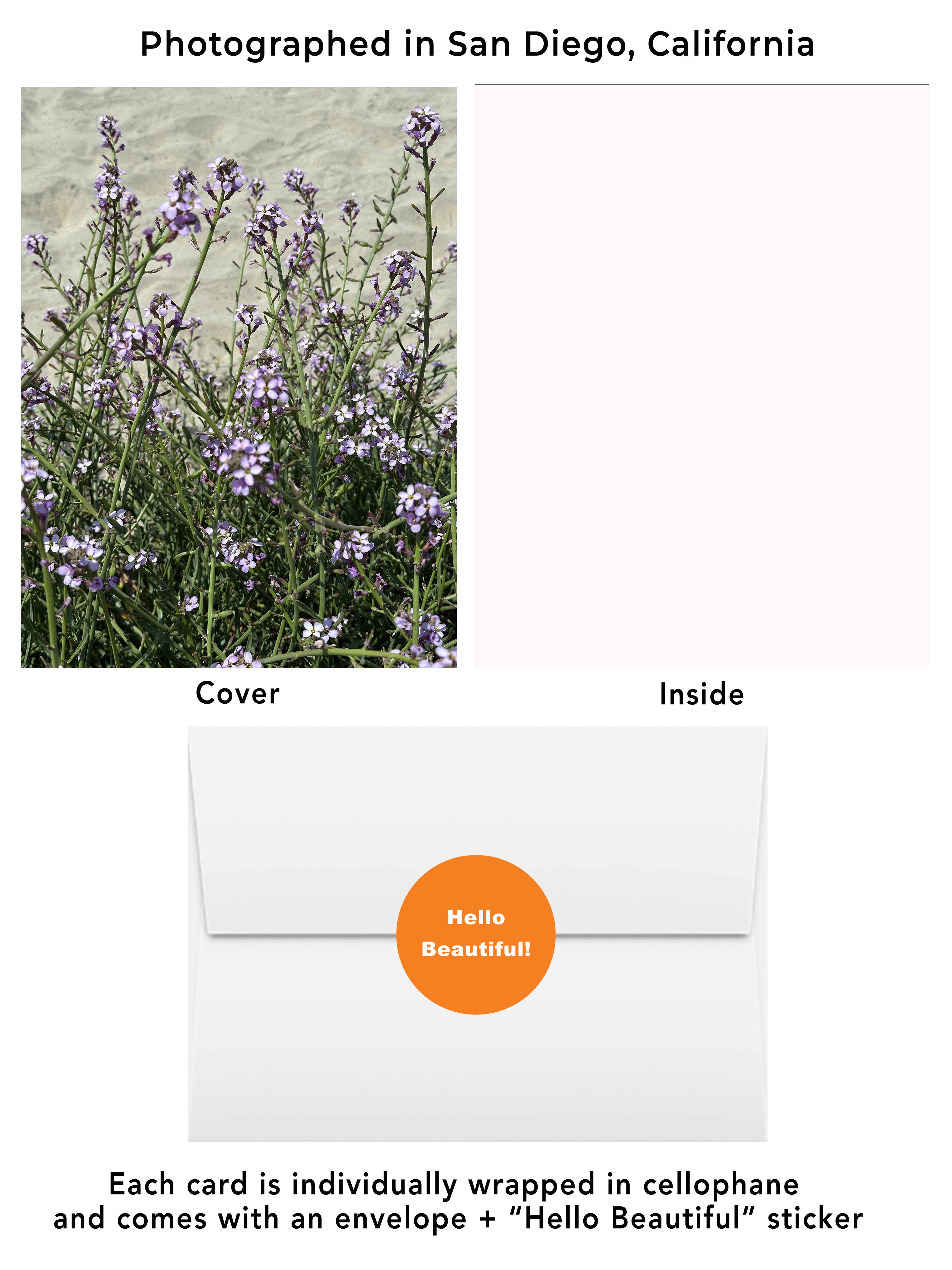 Purple Sea Rocket greeting card featuring original beach wildflower photography captured in San Diego California. Visual of cover, inside, envelope and hello beautiful sticker. Coastal wildflower greeting card
Purple beach flower photography
San Diego beach flower card
Blank inside floral card
Beach lover gift
California coastal flower card
Botanical stationery