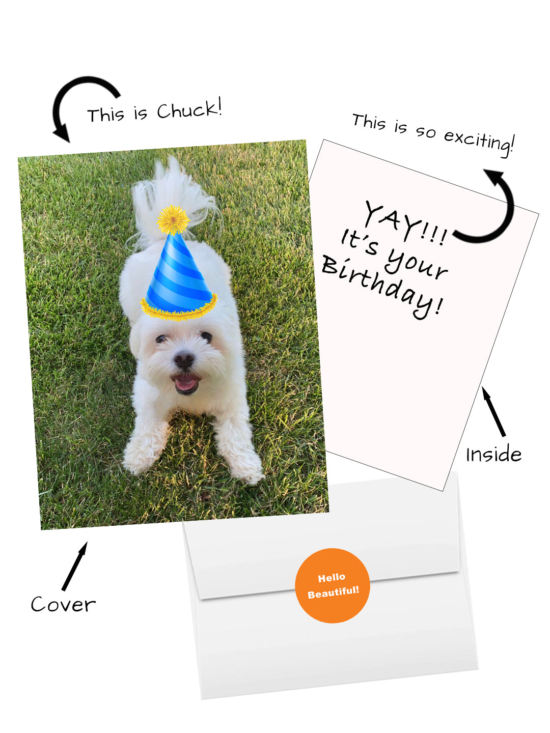 Yay! It’s Your Birthday greeting card featuring dog photo — BARDZ Birthday Card.  Image includes cover, inside card, envelope, and hello beautiful sticker