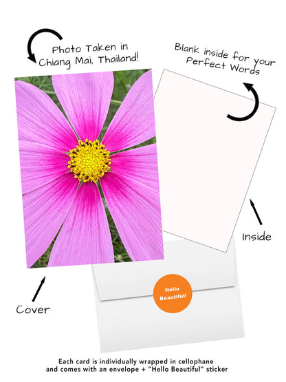 Elegant Blossoms of the World | 24 Floral Greeting Cards from Around the World | Free Shipping