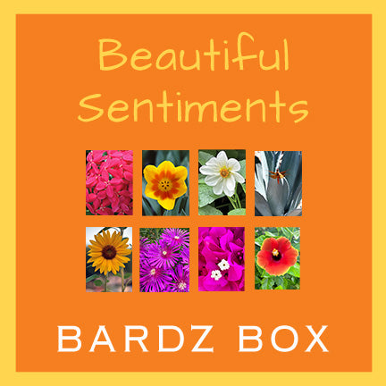 BARDZ Beautiful Sentiments card box set of 8.  Close up of card cover for 8 designs