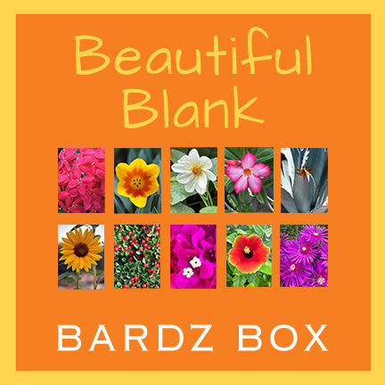 BARDZ blank-inside card box set of 10 on premium cardstock.  Close up of 10 card cover photos