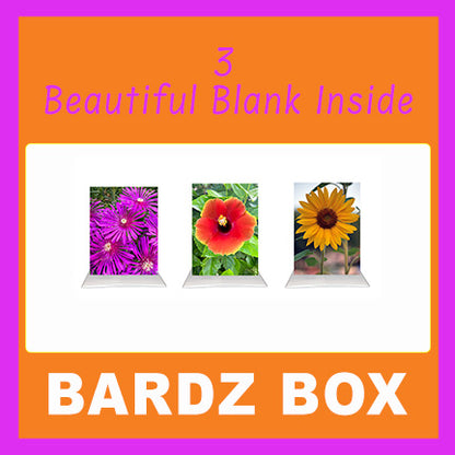 Bardz "12 Pack" Box - Get 12 assorted cards - 25% per card discount applied to price