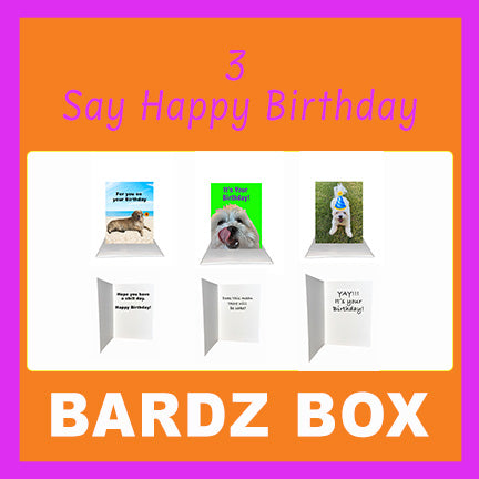 Bardz "12 Pack" Box - Get 12 assorted cards - 25% per card discount applied to price