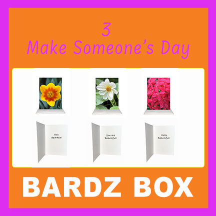 Bardz "12 Pack" Box - Get 12 assorted cards - 25% per card discount applied to price