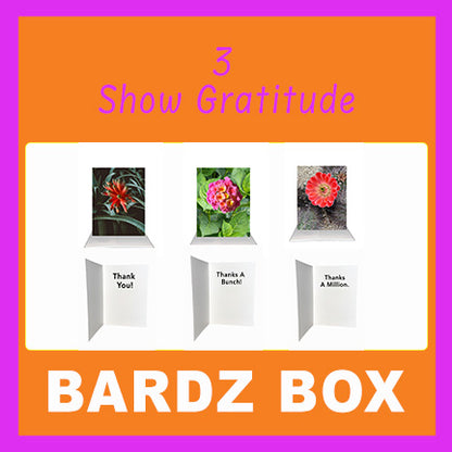 Bardz "12 Pack" Box - Get 12 assorted cards - 25% per card discount applied to price