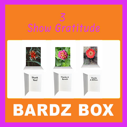 Bardz "12 Pack" Box - Get 12 assorted cards - 25% per card discount applied to price