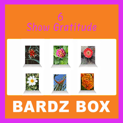 Bardz "24 Pack" Box - Get 24 assorted cards - 28% per card discount applied to price