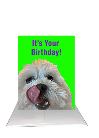Bardz "Say Happy Birthday" Box - Get all 6 pup cards in this collection - 15% per card discount applied to price