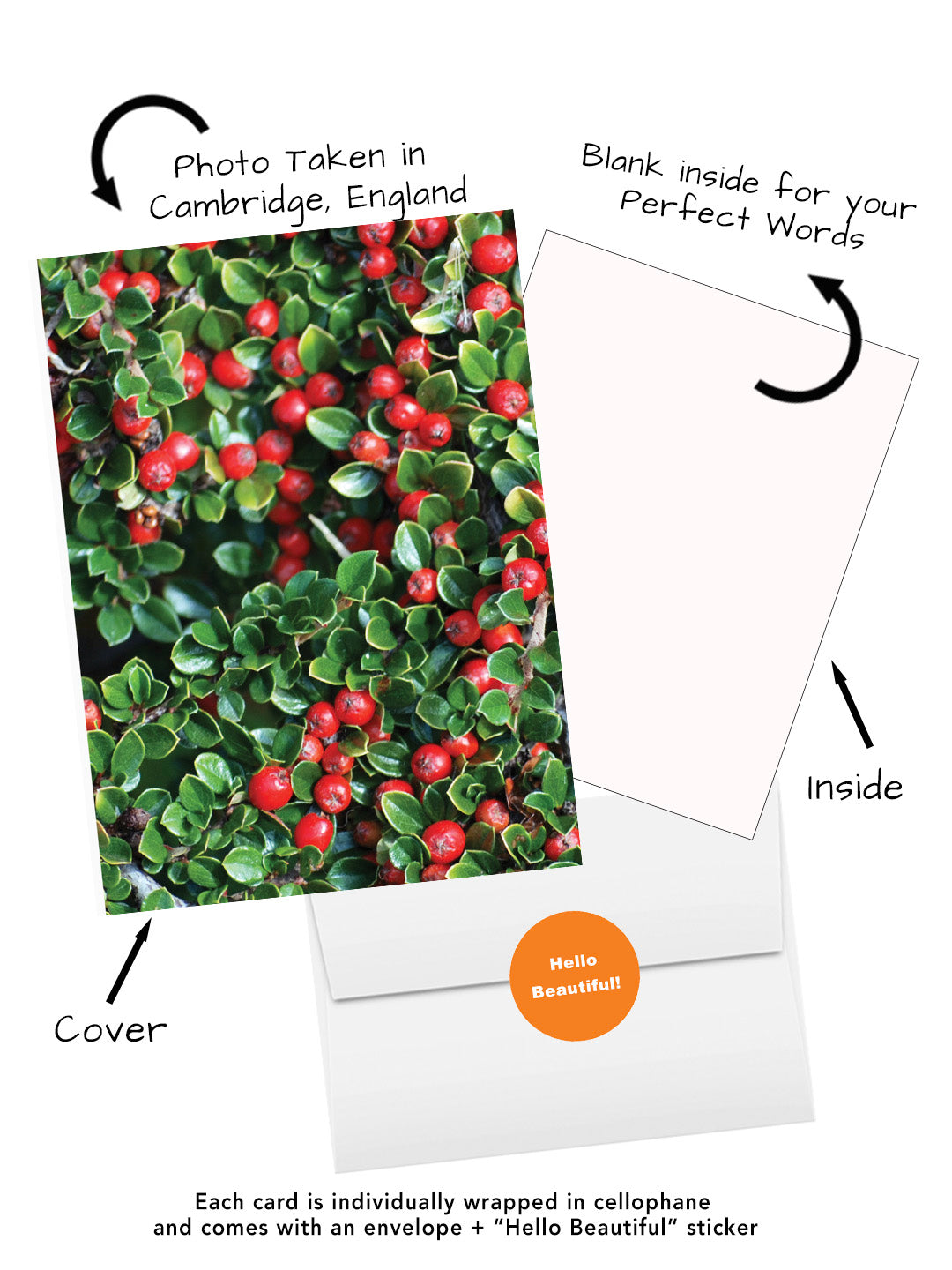 Elegant Blossoms of the World | 24 Floral Greeting Cards from Around the World | Free Shipping