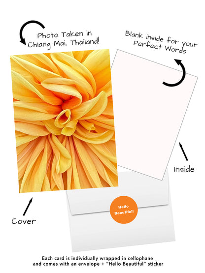 Elegant Blossoms of the World | 24 Floral Greeting Cards from Around the World | Free Shipping
