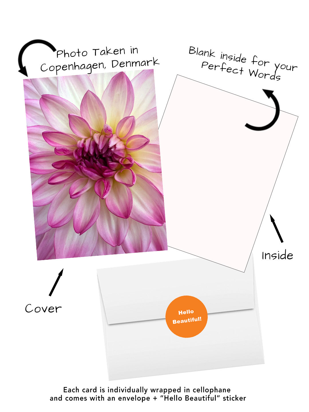 Elegant Blossoms of the World | 24 Floral Greeting Cards from Around the World | Free Shipping