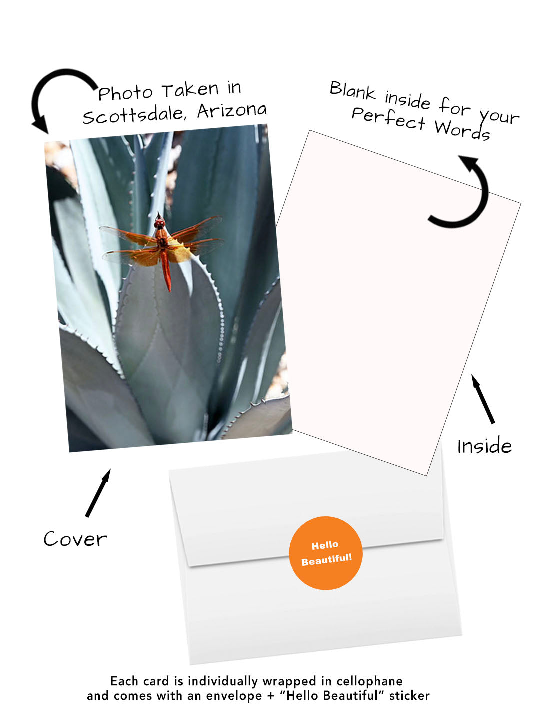Elegant Blossoms of the World | 24 Floral Greeting Cards from Around the World | Free Shipping