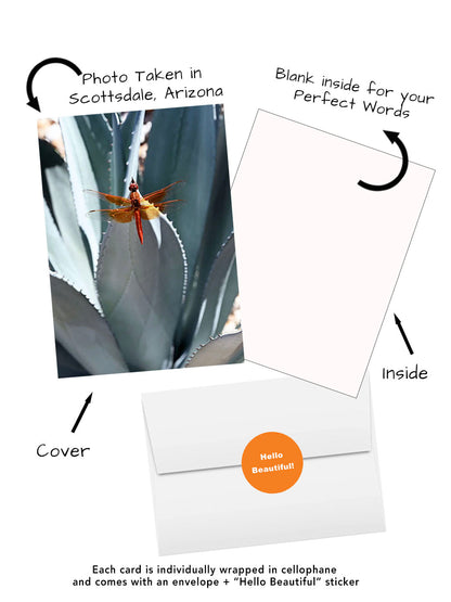 Elegant Blossoms of the World | 24 Floral Greeting Cards from Around the World | Free Shipping