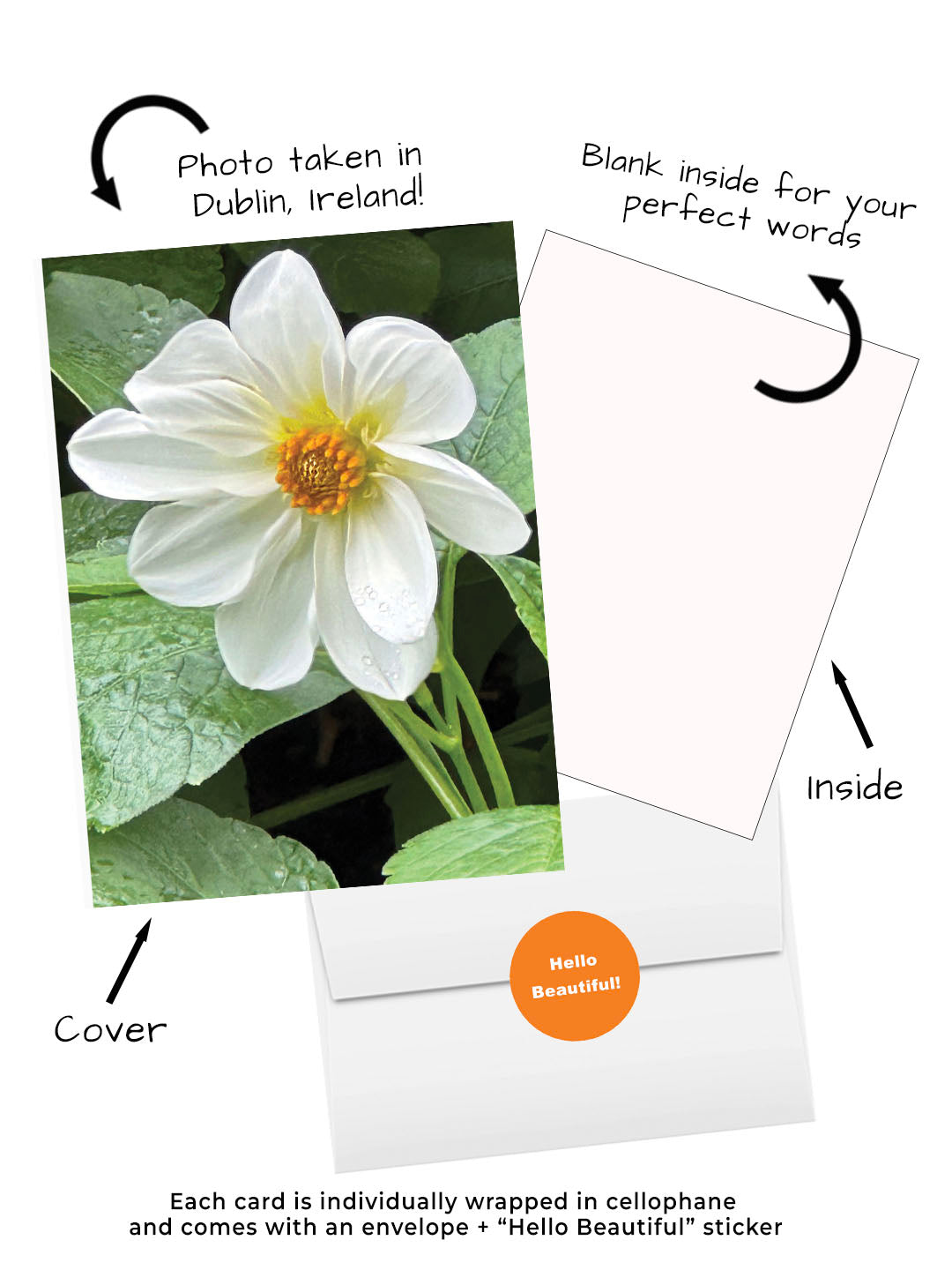 Dublin Ireland greeting card with flower photography.  Visual of card front, inside, envelope and hello beautiful sticker