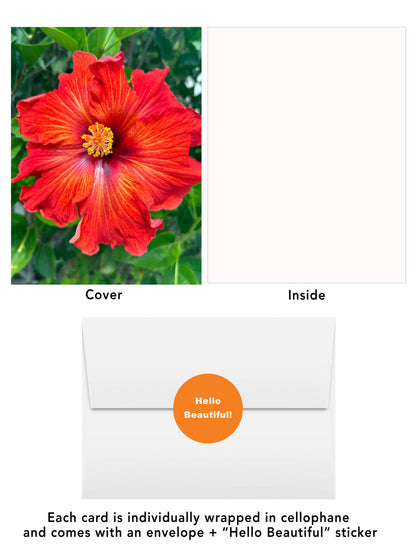 Elegant Blossoms of the World | 24 Floral Greeting Cards from Around the World | Free Shipping
