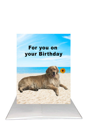 For you on your Birthday