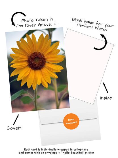 Elegant Blossoms of the World | 24 Floral Greeting Cards from Around the World | Free Shipping