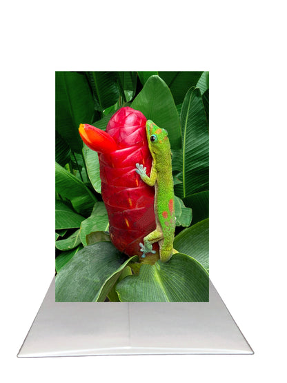 Red Button Ginger & Gold Dust Day Gecko Greeting Card | Blank Inside | Hawaii Flower Photography | 5 x 7
