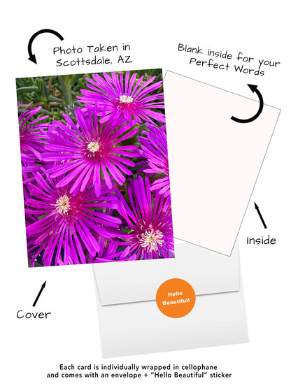 Elegant Blossoms of the World | 24 Floral Greeting Cards from Around the World | Free Shipping