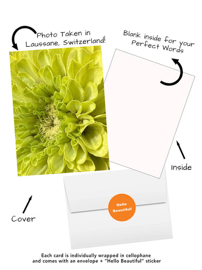 Lime Green Zinnia Greeting Card | Blank Inside | Switzerland Flower Photography