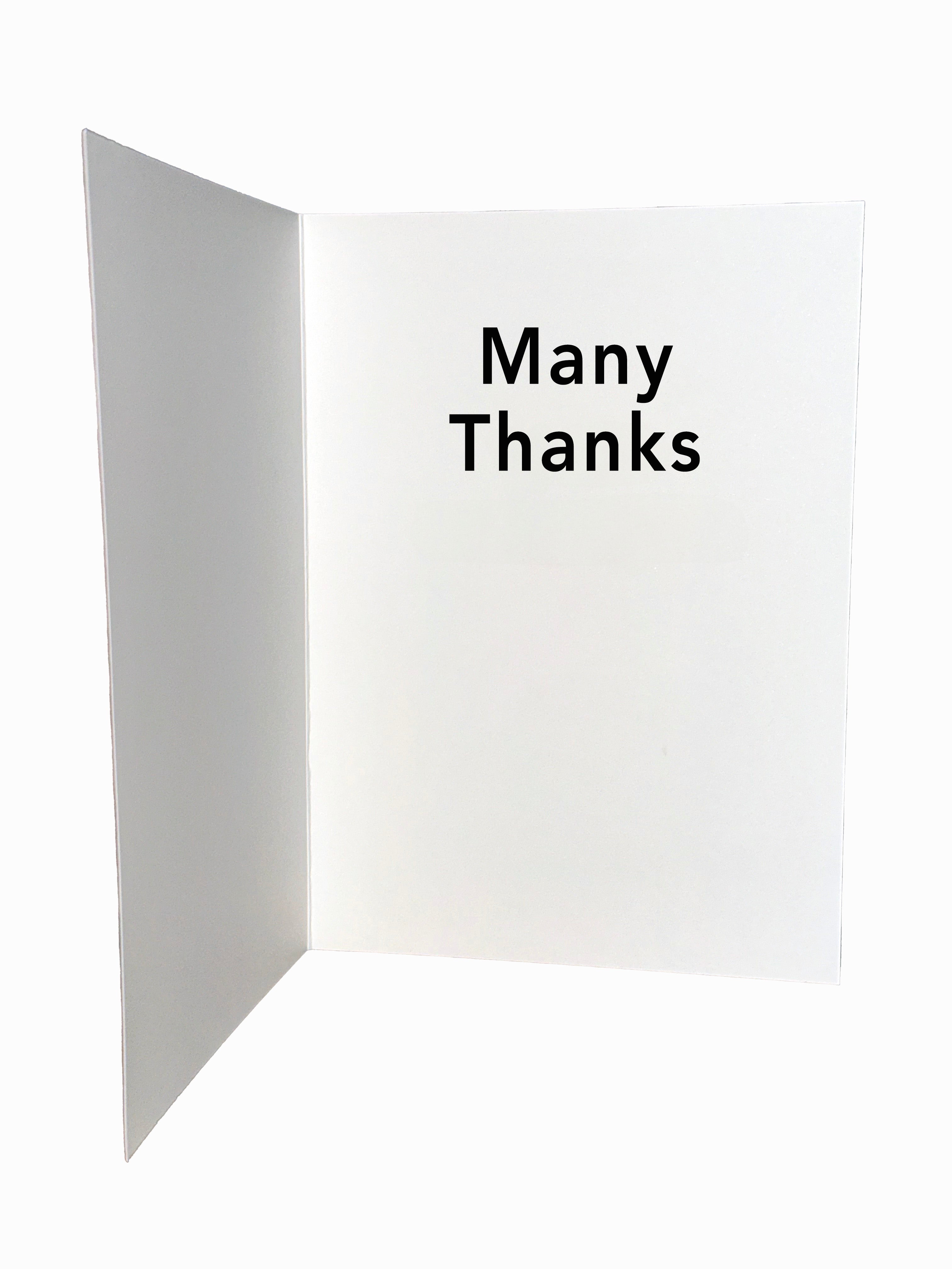 a.  Many Thanks - Arizona Desert Flower