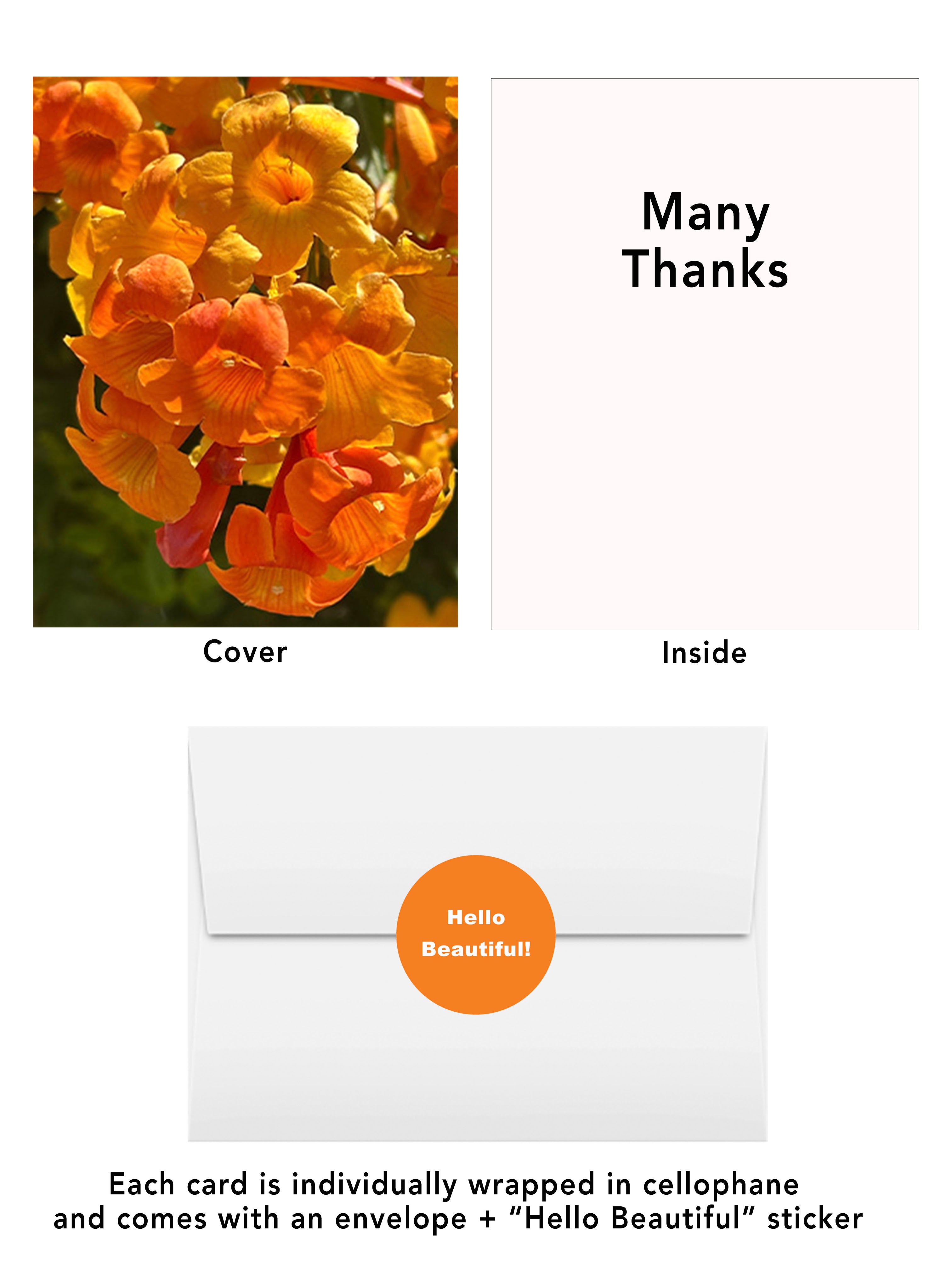 a.  Many Thanks - Arizona Desert Flower