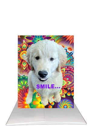 Bardz "6 Pack" Box - Get 6 assorted cards - 15% per card discount applied to price
