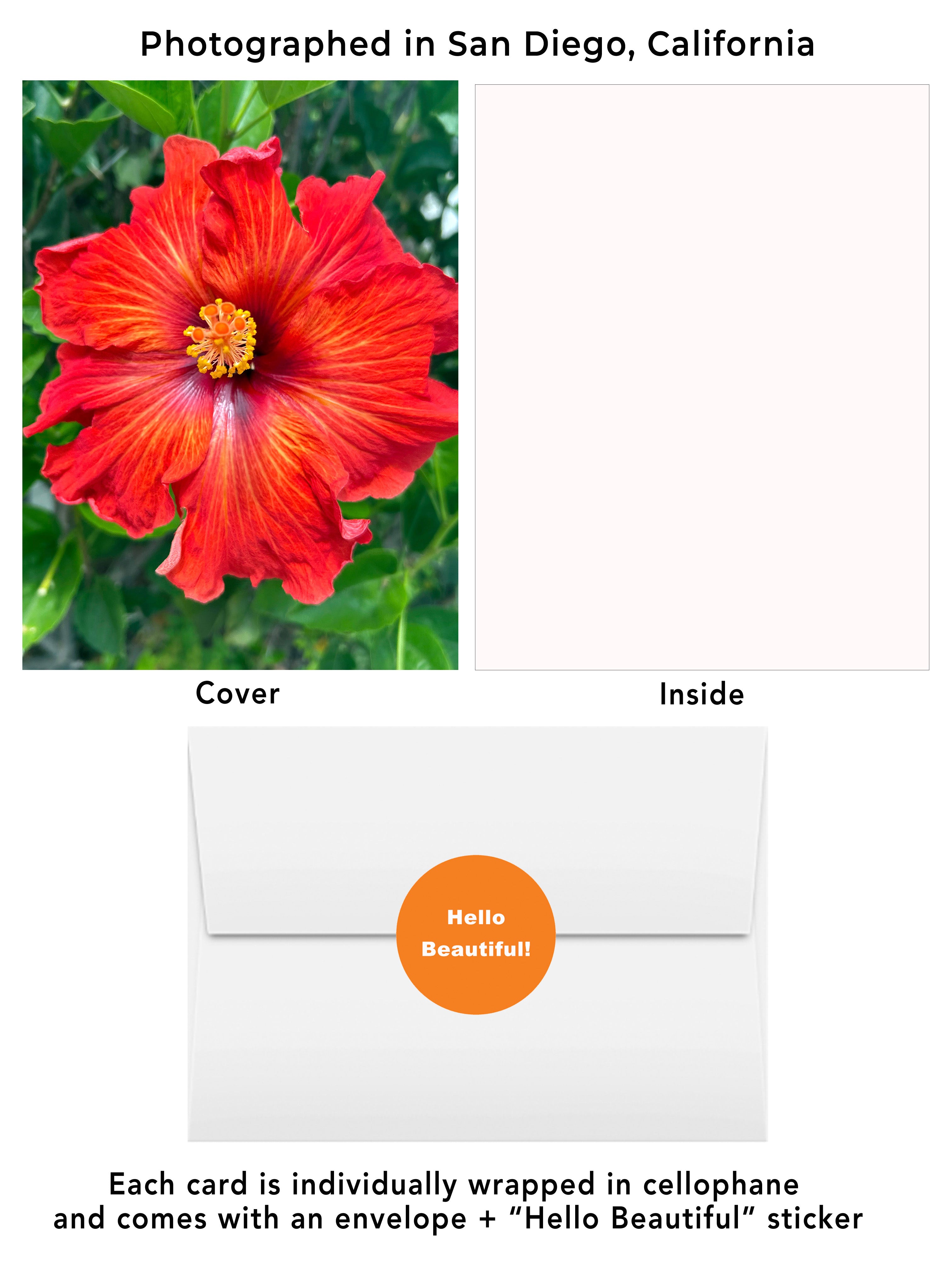 Red Tropical Hibiscus greeting card featuring original flower photography captured in San Diego California.  Visual of cover, inside, envelope and hello beautiful sticker.  Red hibiscus flower greeting card
Tropical flower photography
San Diego floral card
Blank inside greeting card
Flower lover gift
Botanical stationery
California flower photography
