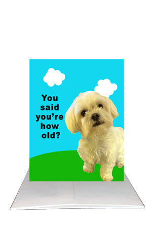 You said you're how old?