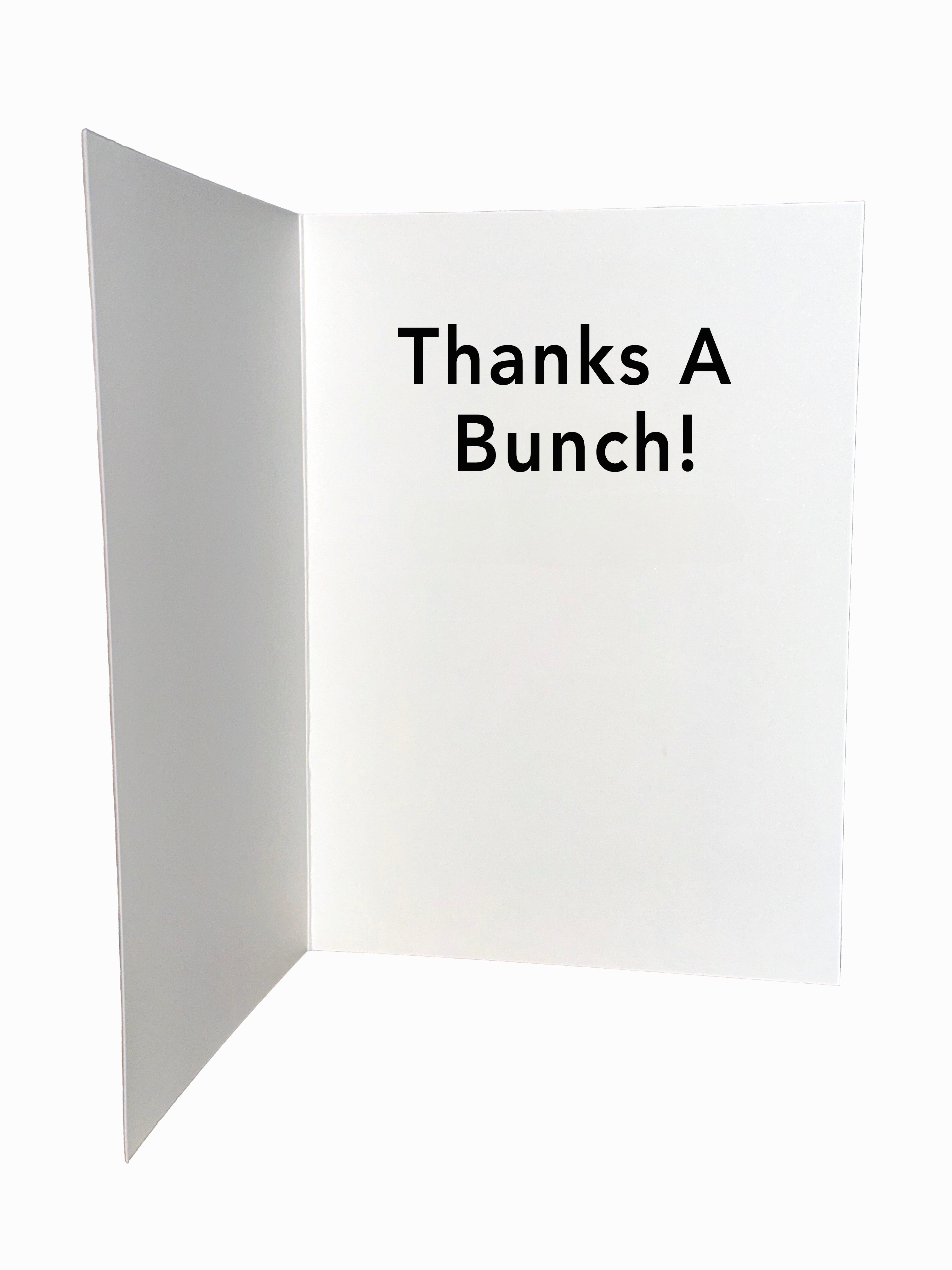 Thanks A Bunch! - Arizona Desert Flower