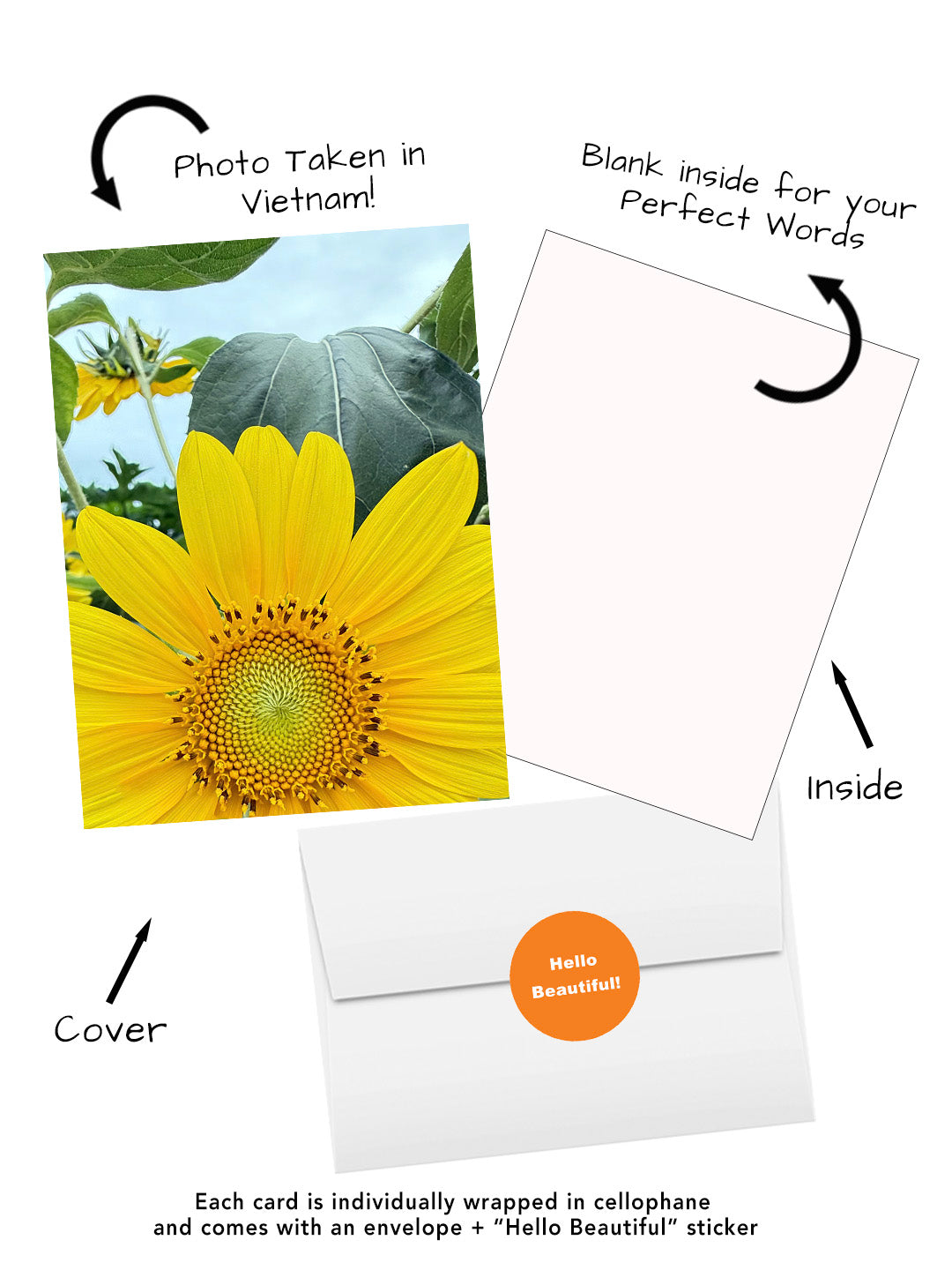 Sunflower greeting card featuring original flower photography captured in Vietnam.  Visual of cover, inside, envelope, and hello beautiful sticker