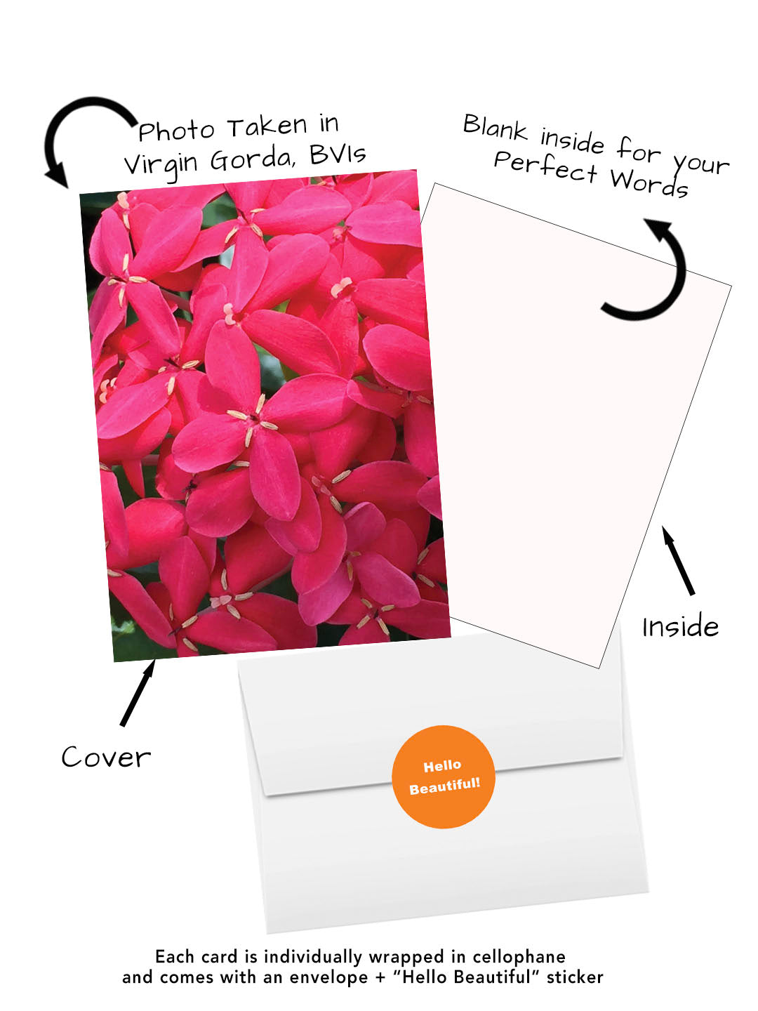 Pink ixora greeting card featuring original flower photography captured in Virgin Gorda British Virgin Islands.  Visual of cover, inside, envelope and Hello beautiful sticker