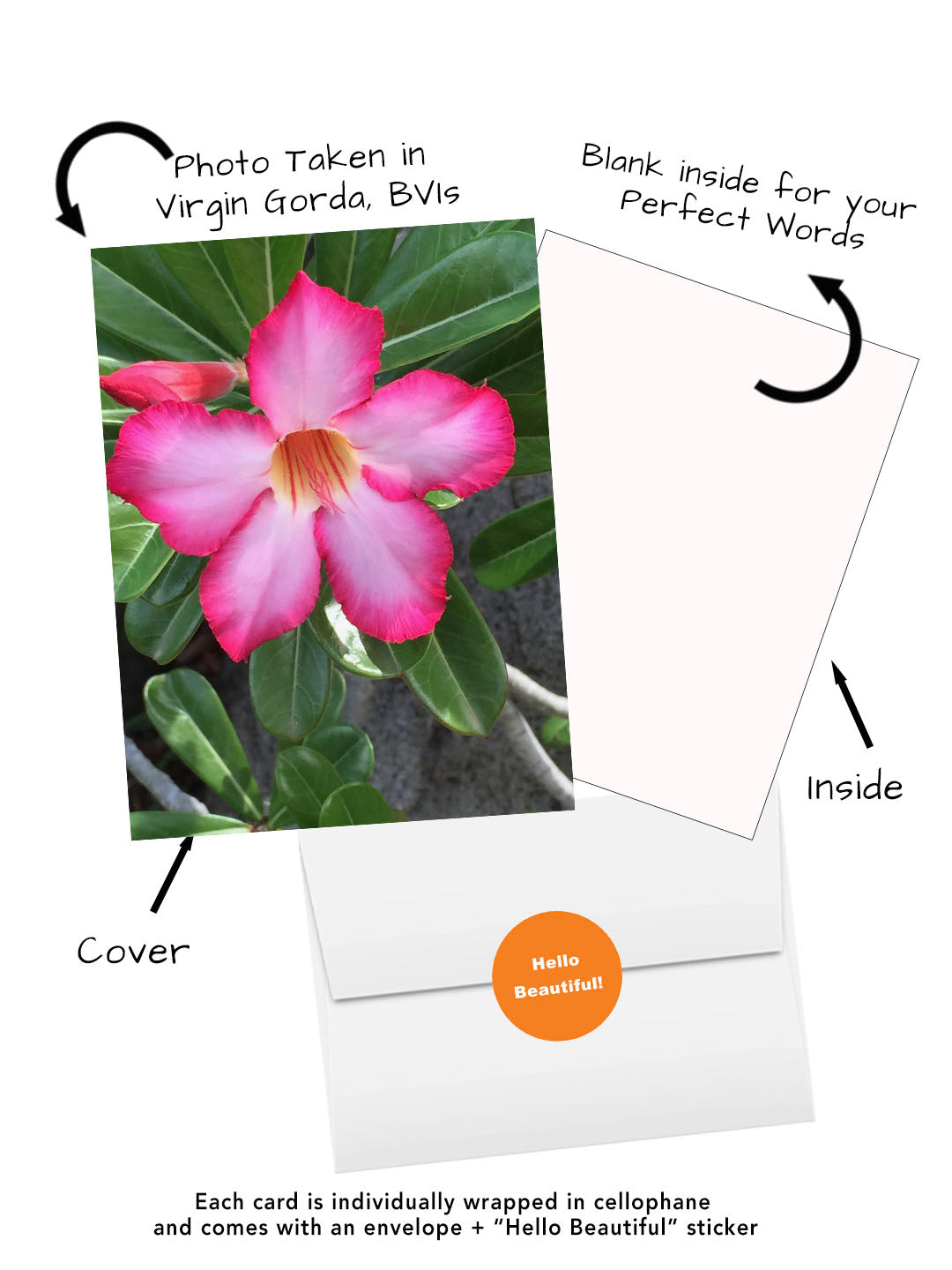 Pink Desert Rose greeting card featuring original flower photography captured in Virgin Gorda British Virgin Islands.  Visual of cover, inside, envelope and hello beautiful sticker