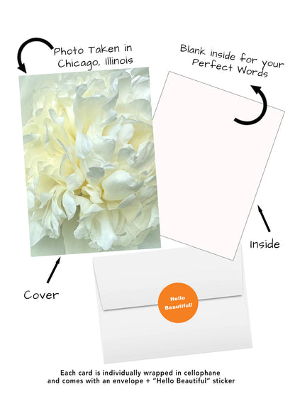 White peony greeting card featuring original floral photography captured in Chicago Illinois  visual of white flowers on the cover and a blank inside for writing, shown with an envelope and 'Hello Beautiful' sticker.