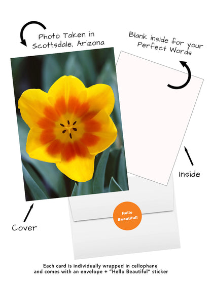 Yellow tulip greeting card featuring original flower photography captured in Scottsdale Arizona.  Visual of cover, insie, envelope and hello beautiful sticker.