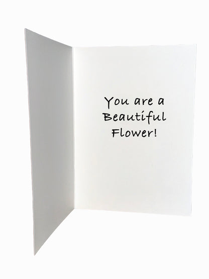 Bardz "Inspire" Box - Get all 7 cards in this collection - 20% per card discount applied to price